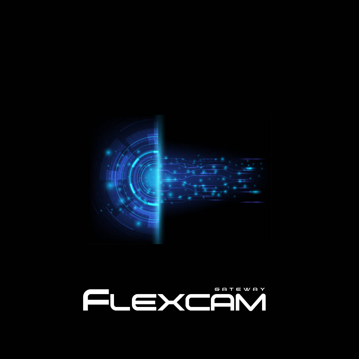 flexcam_gw.jpg